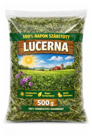 Lucerna